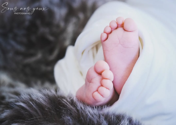 Photo photographe sous nos yeux biainnaitre